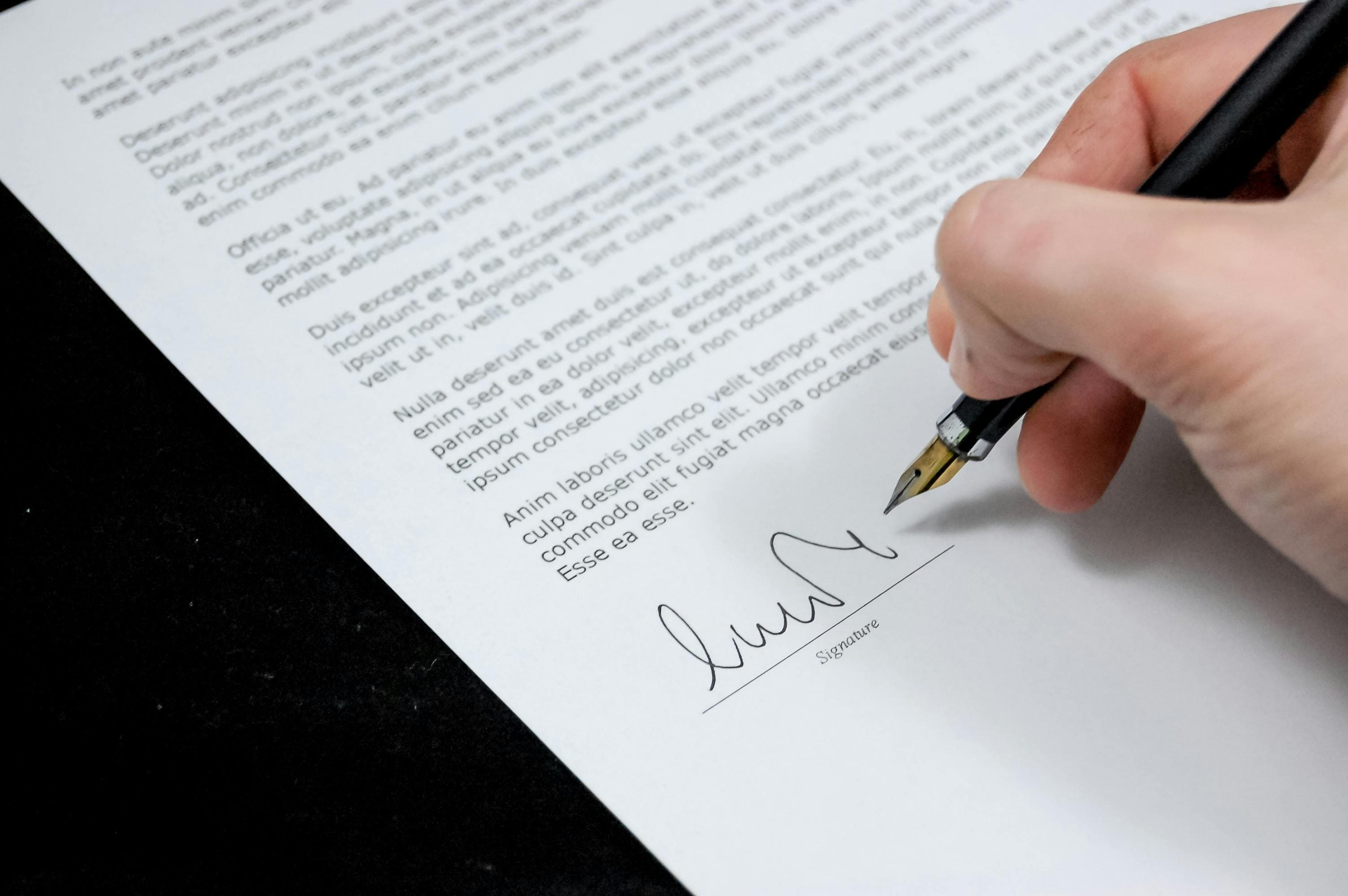 Legal Document Review